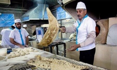 رئیس کارگروه آرد و نان: نان گران نشده است